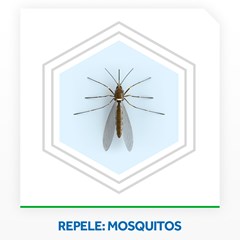 INSETICIDA REFIL LÍQUIDO RAID 45 NOITES GRÁTIS APARELHO