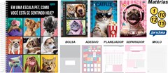 CADERNO CAPA DURA UNIVERSAL JANDAIA PET 15 MATÉRIAS 240F