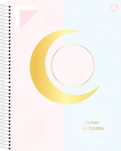 AGENDA PLANNER ESTUDOS SÃO DOMINGOS ESPIRAL PERMANENTE 84F