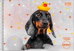 CADERNO CARTOGRAFIA CAPA DURA TILIBRA ESPIRAL ZOOM+ FEM 96F