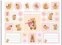 CADERNO CARTOGRAFIA CAPA DURA SÃO DOMINGOS ESPIRAL CAPYCUTIES 60 FOLHAS