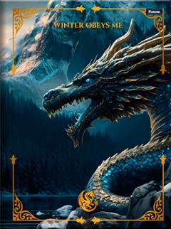 CADERNO CAPA DURA COSTURADO UNIVERSITÁRIO FORONI DRAKOS 80 FOLHAS